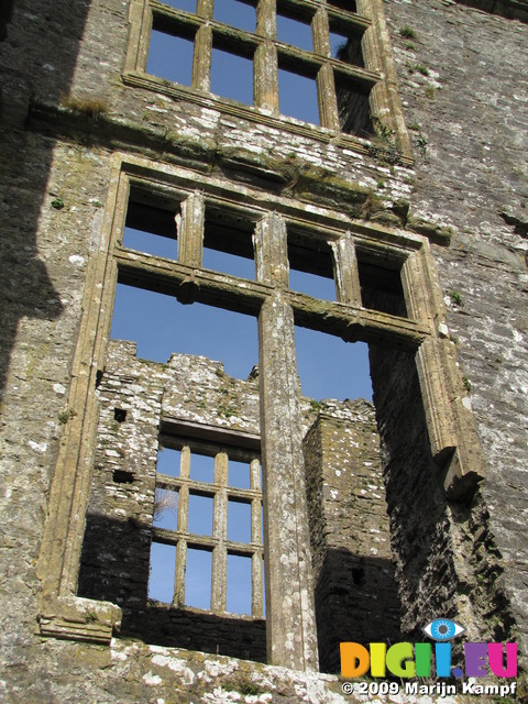 SX03233 Windows of long gallery Carew castle